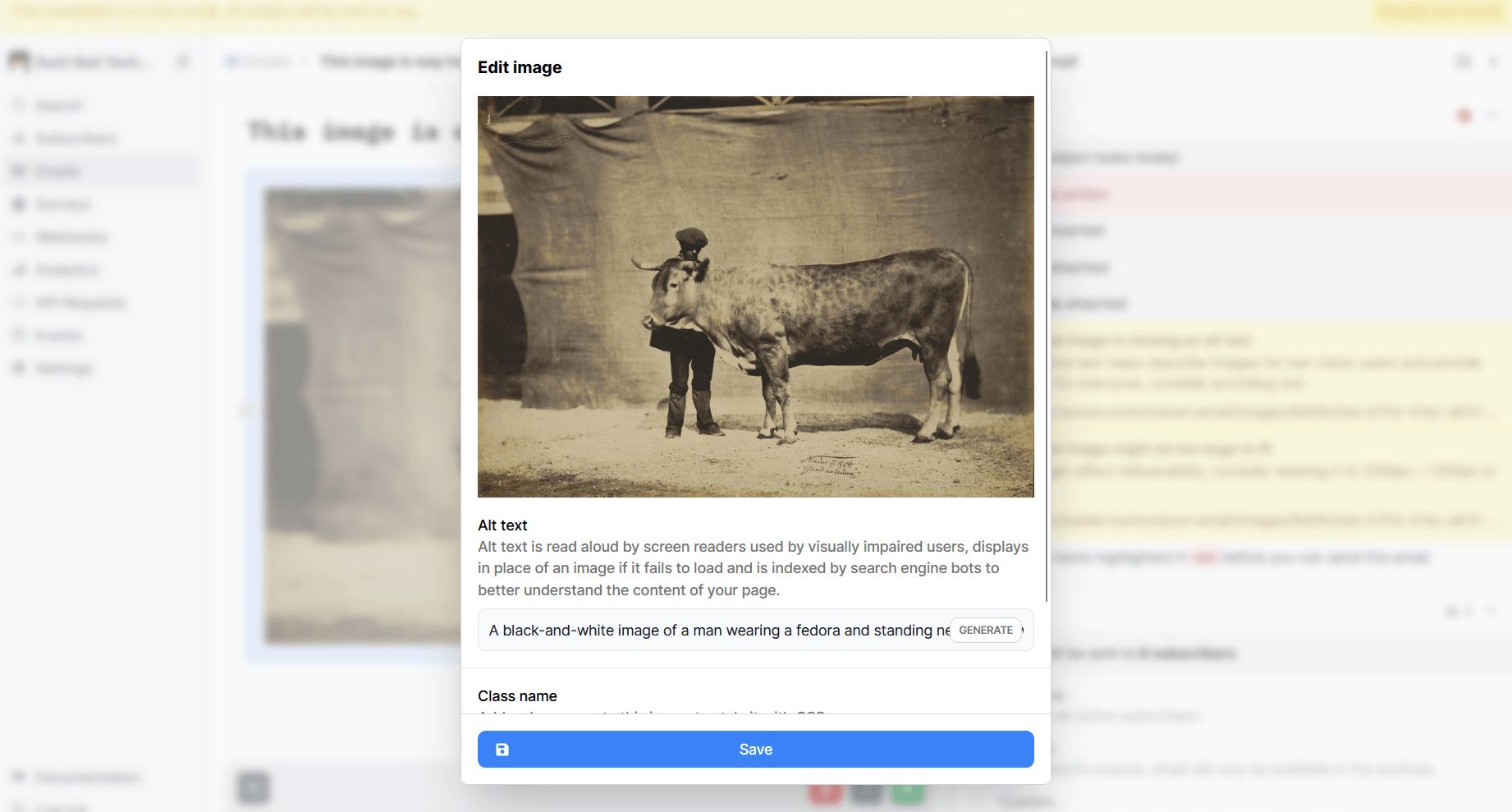 A screenshot showing accessibility considerations for GIFs in emails